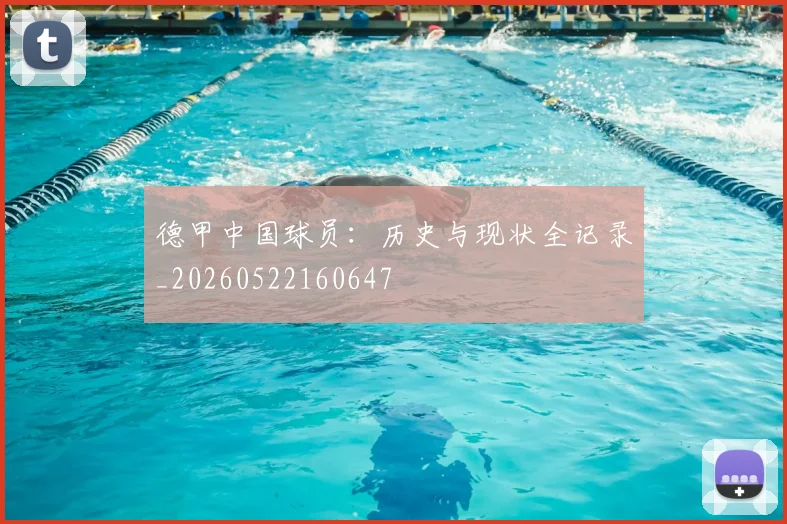 德甲中国球员：历史与现状全记录_20260522160647