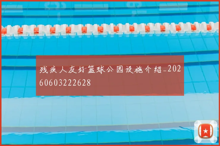 残疾人友好篮球公园设施介绍_20260603222628
