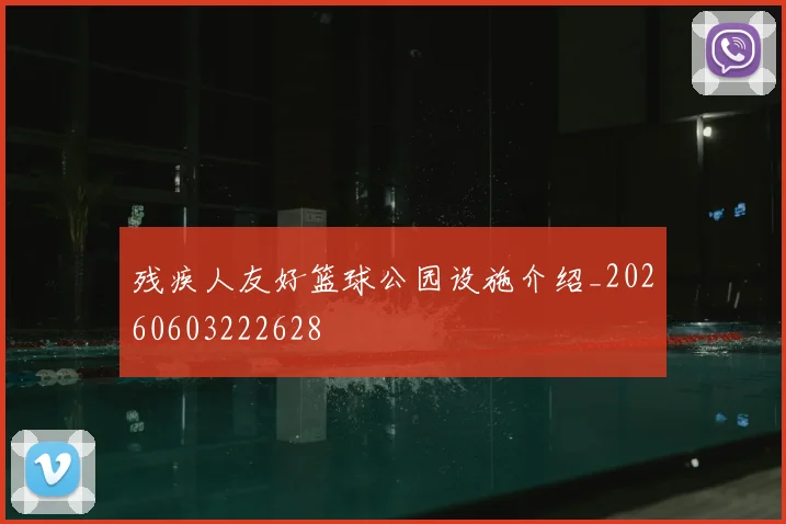 残疾人友好篮球公园设施介绍_20260603222628