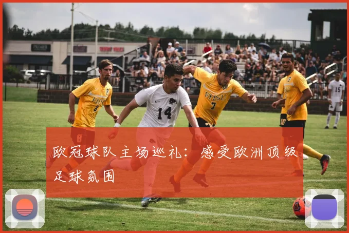 欧冠球队主场巡礼：感受欧洲顶级足球氛围
